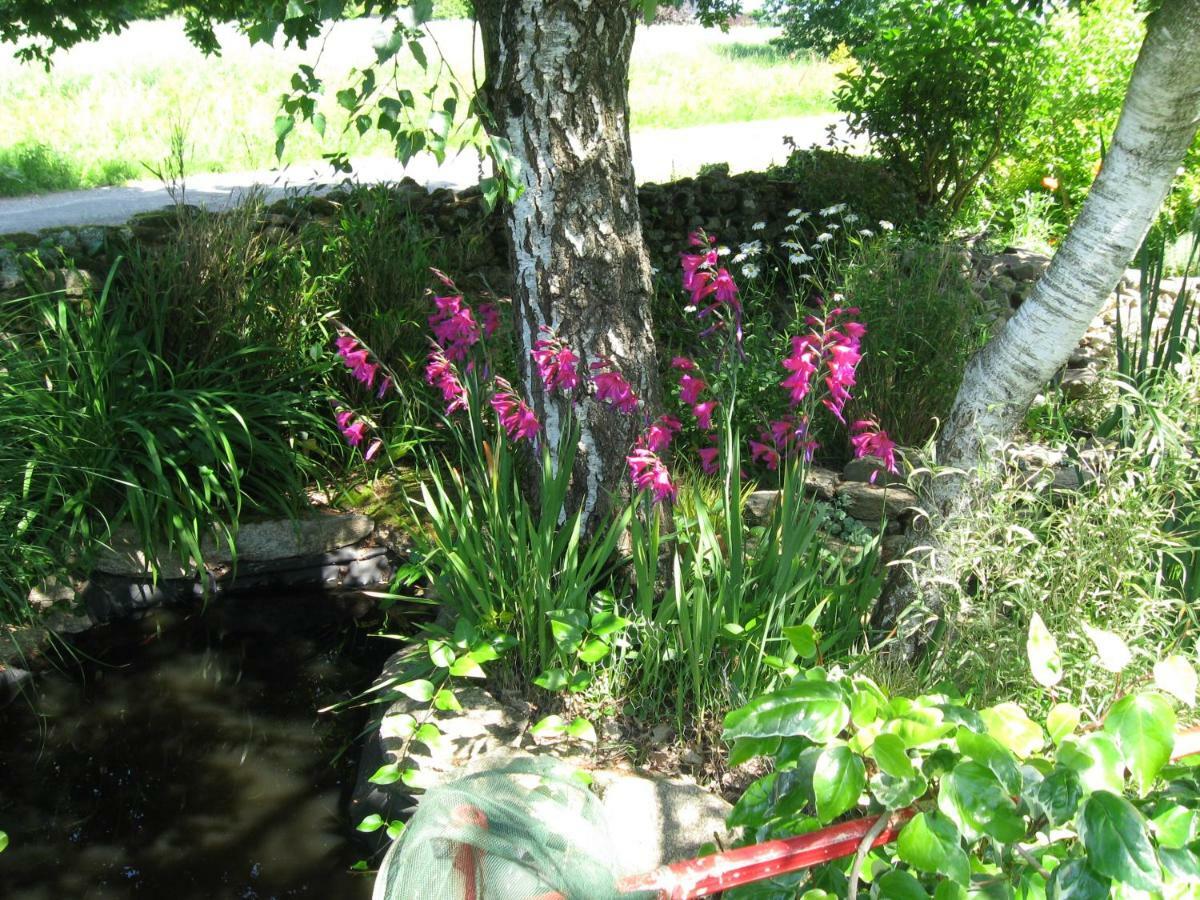 Gites Du Roheran Malansac Esterno foto